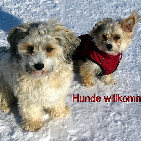 C2 Albmatte-Fewo , Hallenbad Aussenbecken Massagen Nebenan ザンクト・ブラージエン エクステリア 写真