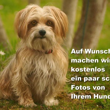 C2 Albmatte-Fewo , Hallenbad Aussenbecken Massagen Nebenan ザンクト・ブラージエン エクステリア 写真