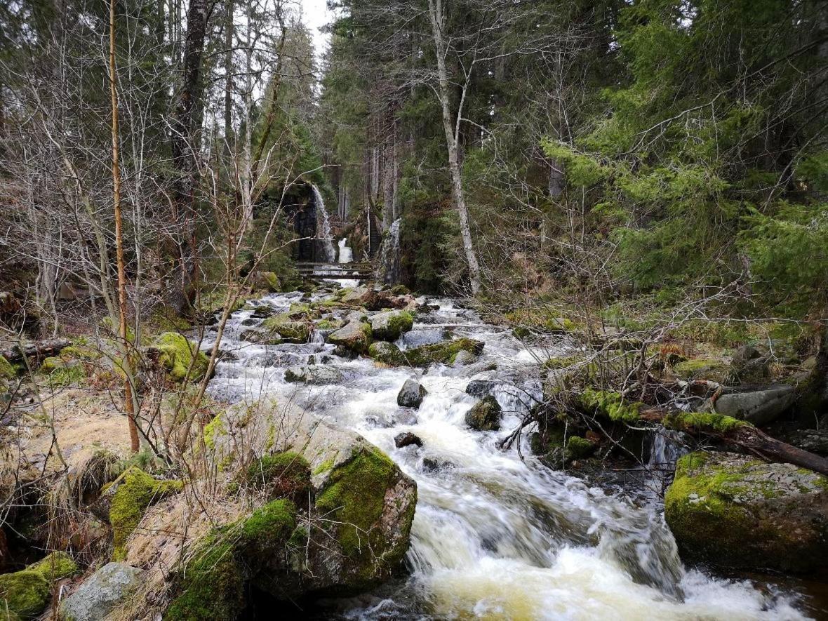 C2 Albmatte-Fewo , Hallenbad Aussenbecken Massagen Nebenan ザンクト・ブラージエン エクステリア 写真