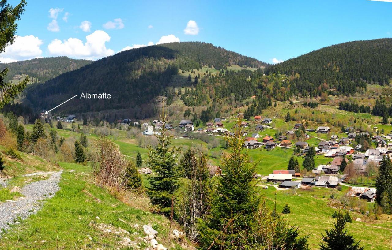 C2 Albmatte-Fewo , Hallenbad Aussenbecken Massagen Nebenan ザンクト・ブラージエン エクステリア 写真