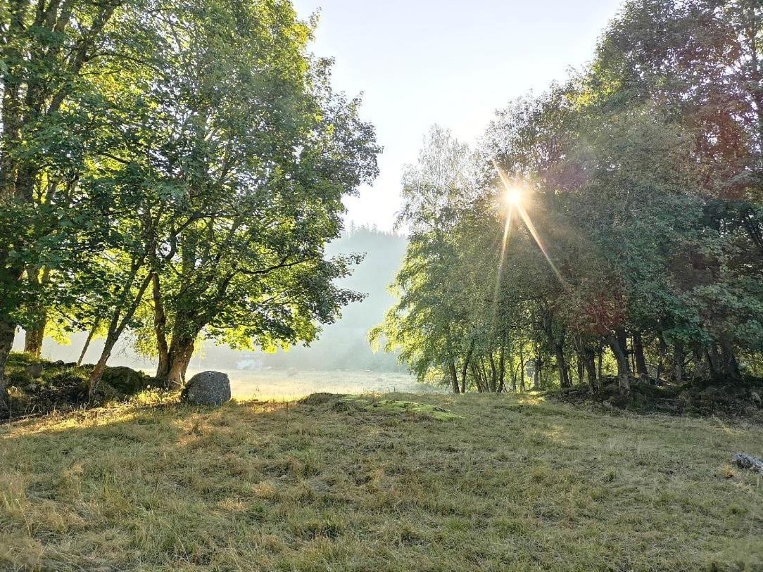 C2 Albmatte-Fewo , Hallenbad Aussenbecken Massagen Nebenan ザンクト・ブラージエン エクステリア 写真
