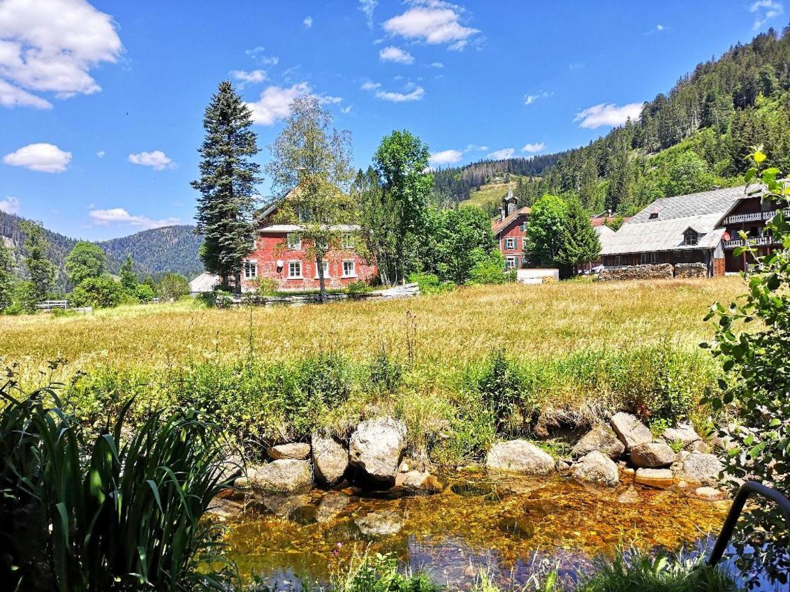 C2 Albmatte-Fewo , Hallenbad Aussenbecken Massagen Nebenan ザンクト・ブラージエン エクステリア 写真