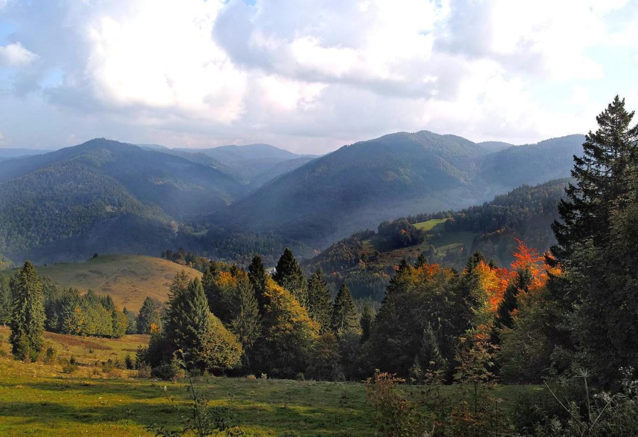 C2 Albmatte-Fewo , Hallenbad Aussenbecken Massagen Nebenan ザンクト・ブラージエン エクステリア 写真