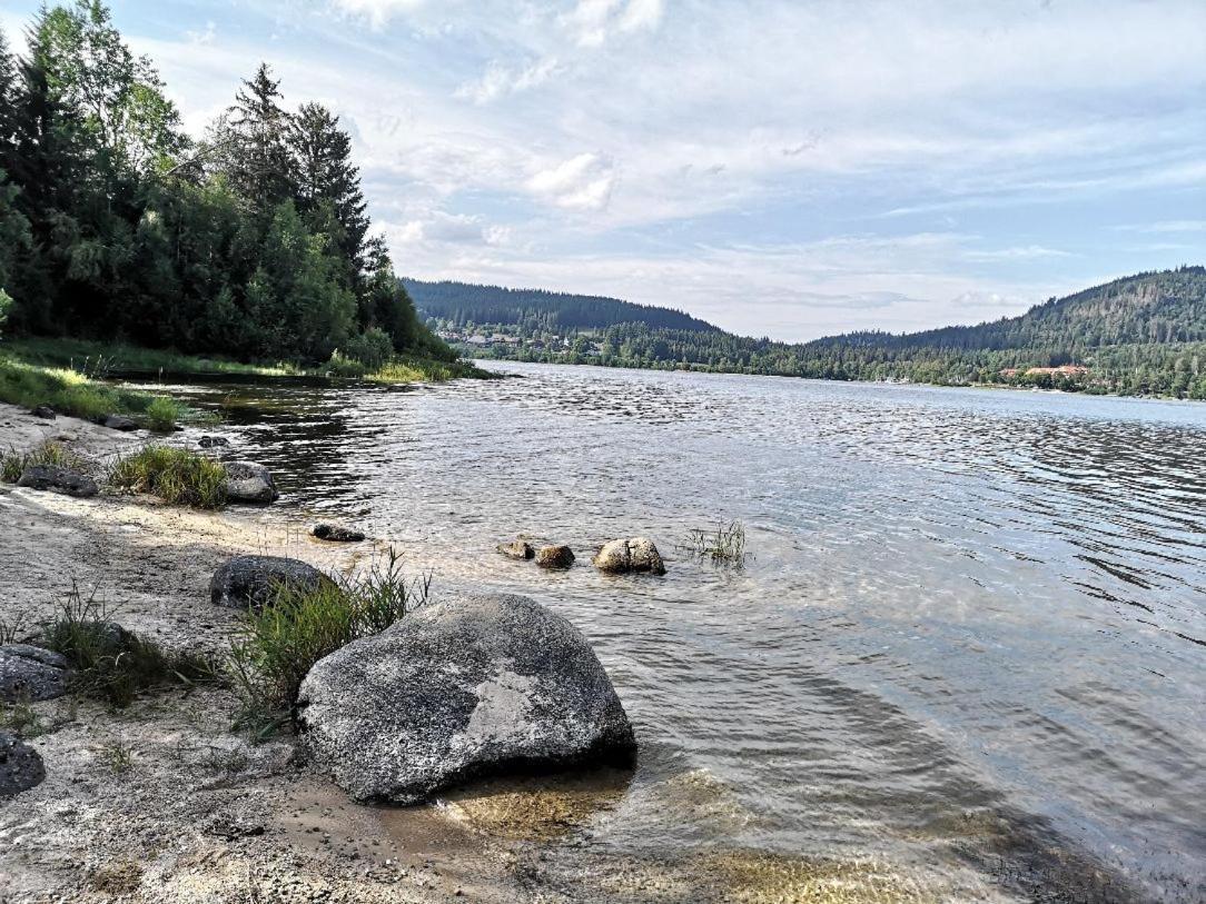 C2 Albmatte-Fewo , Hallenbad Aussenbecken Massagen Nebenan ザンクト・ブラージエン エクステリア 写真