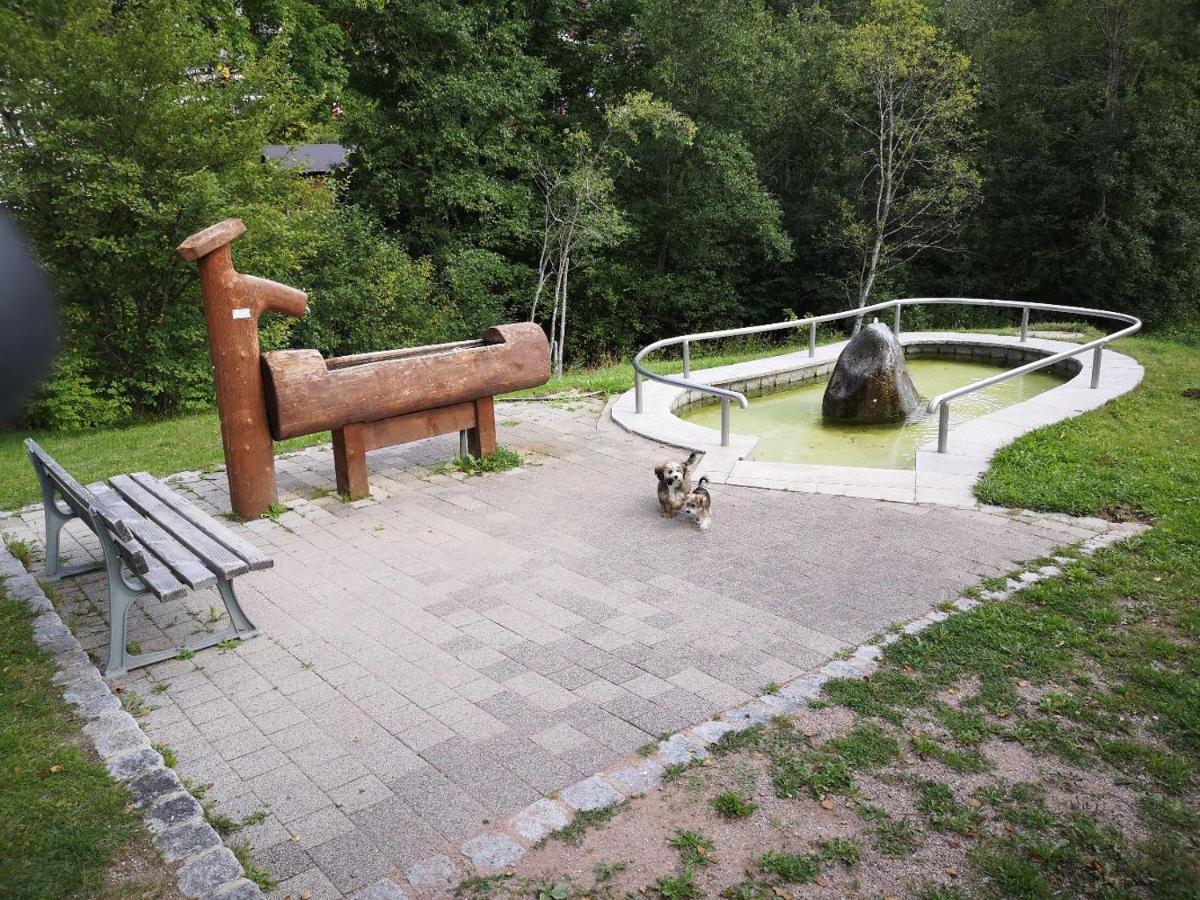 C2 Albmatte-Fewo , Hallenbad Aussenbecken Massagen Nebenan ザンクト・ブラージエン エクステリア 写真