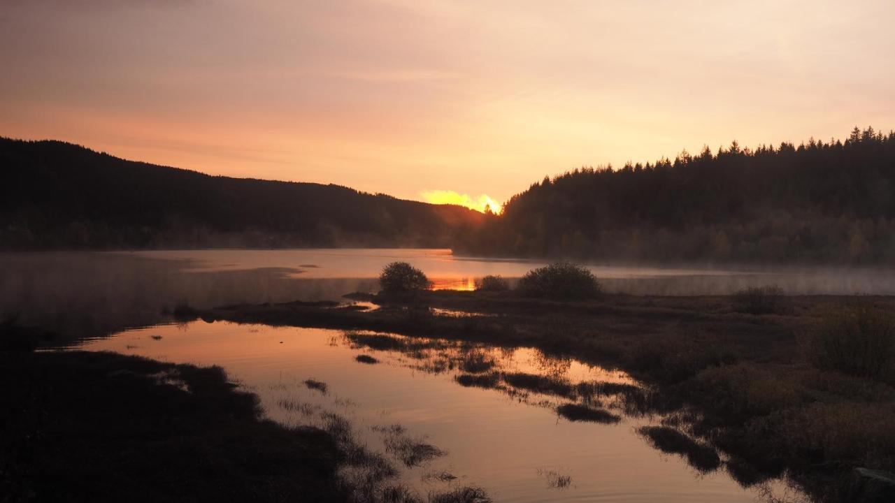 C2 Albmatte-Fewo , Hallenbad Aussenbecken Massagen Nebenan ザンクト・ブラージエン エクステリア 写真