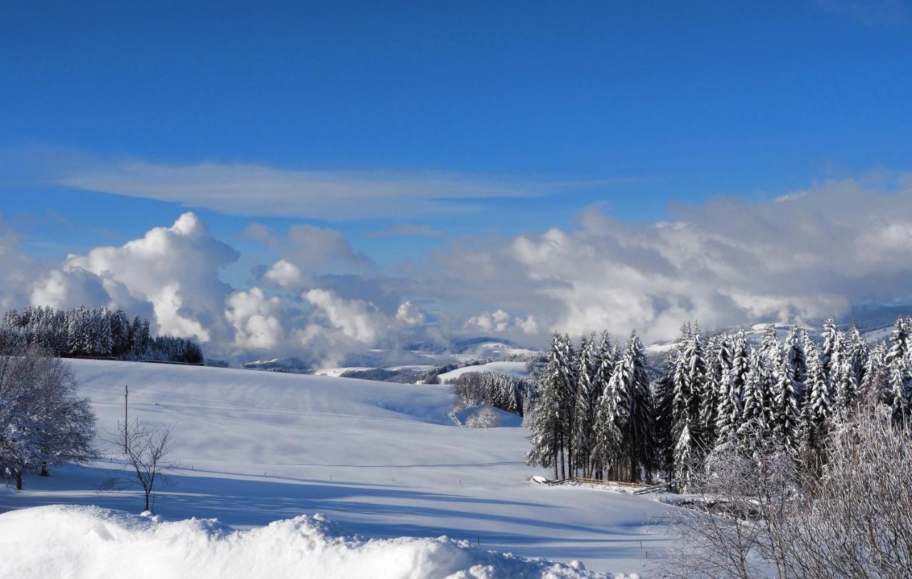 C2 Albmatte-Fewo , Hallenbad Aussenbecken Massagen Nebenan ザンクト・ブラージエン エクステリア 写真