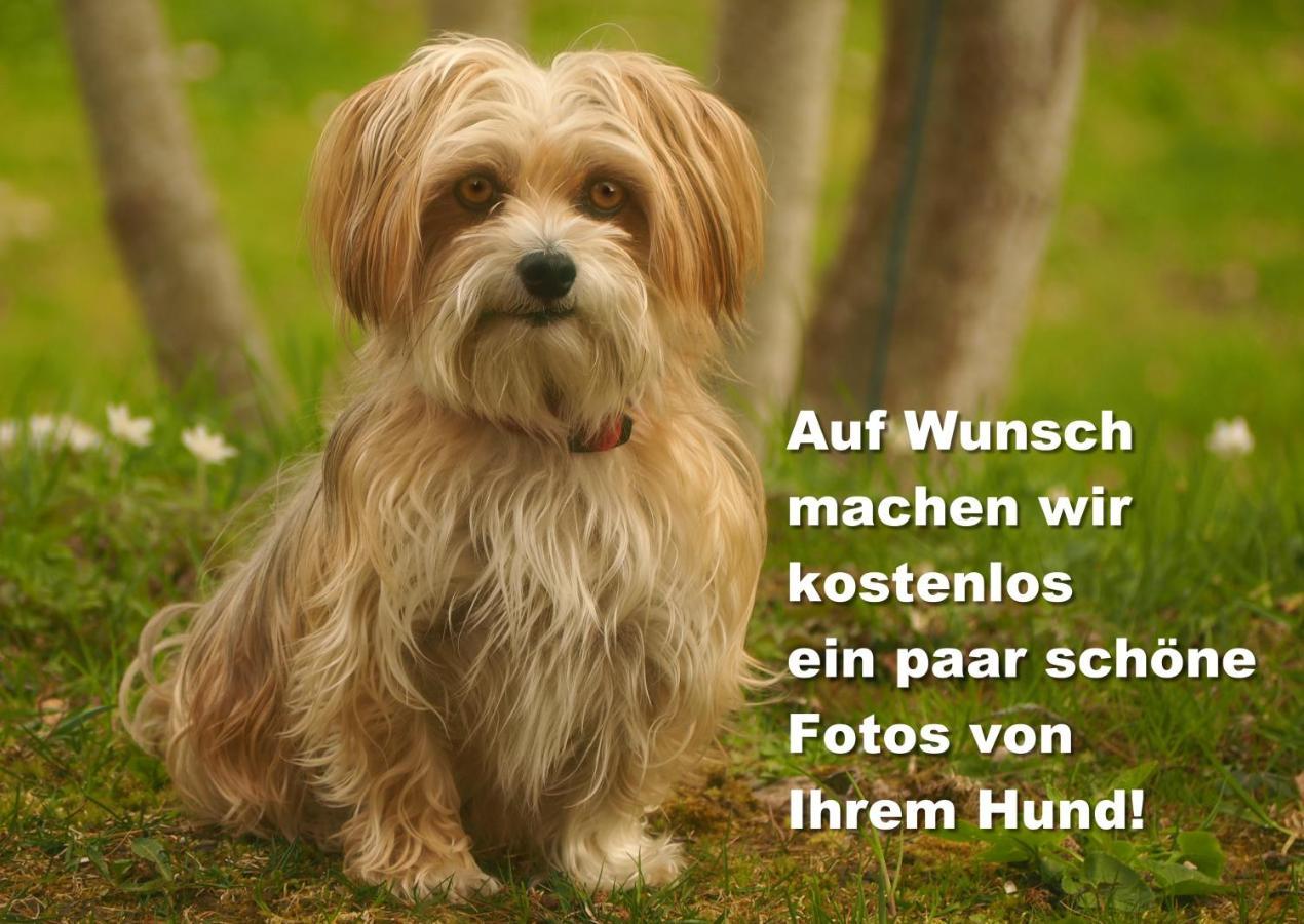 C2 Albmatte-Fewo , Hallenbad Aussenbecken Massagen Nebenan ザンクト・ブラージエン エクステリア 写真