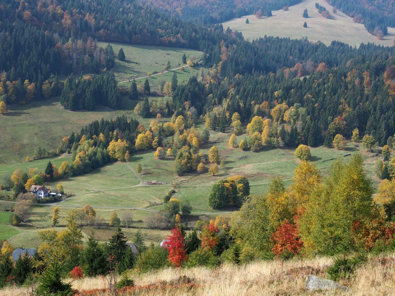C2 Albmatte-Fewo , Hallenbad Aussenbecken Massagen Nebenan ザンクト・ブラージエン エクステリア 写真