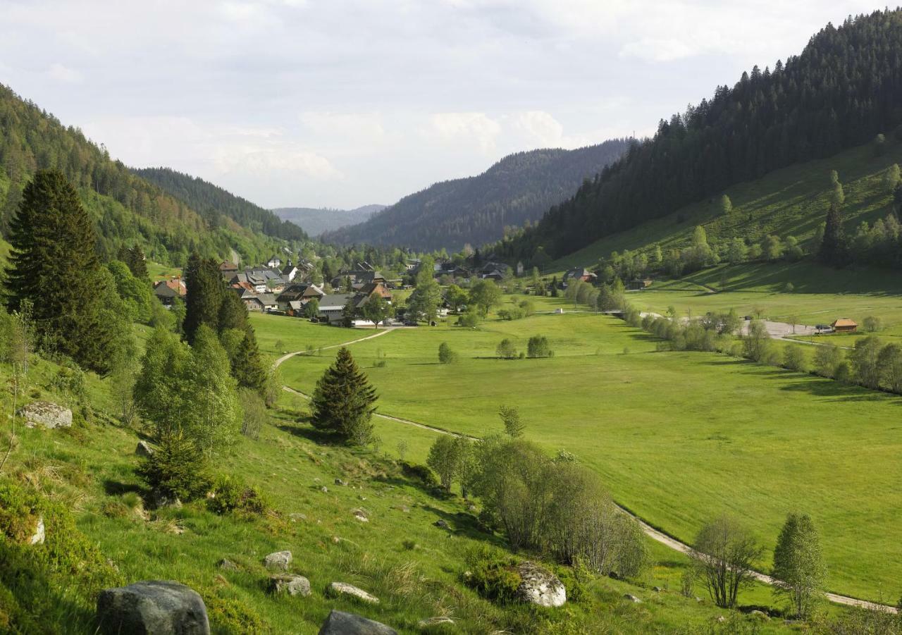 C2 Albmatte-Fewo , Hallenbad Aussenbecken Massagen Nebenan ザンクト・ブラージエン エクステリア 写真