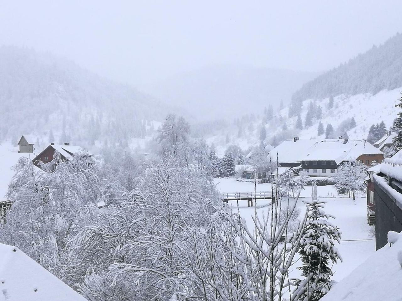 C2 Albmatte-Fewo , Hallenbad Aussenbecken Massagen Nebenan ザンクト・ブラージエン エクステリア 写真