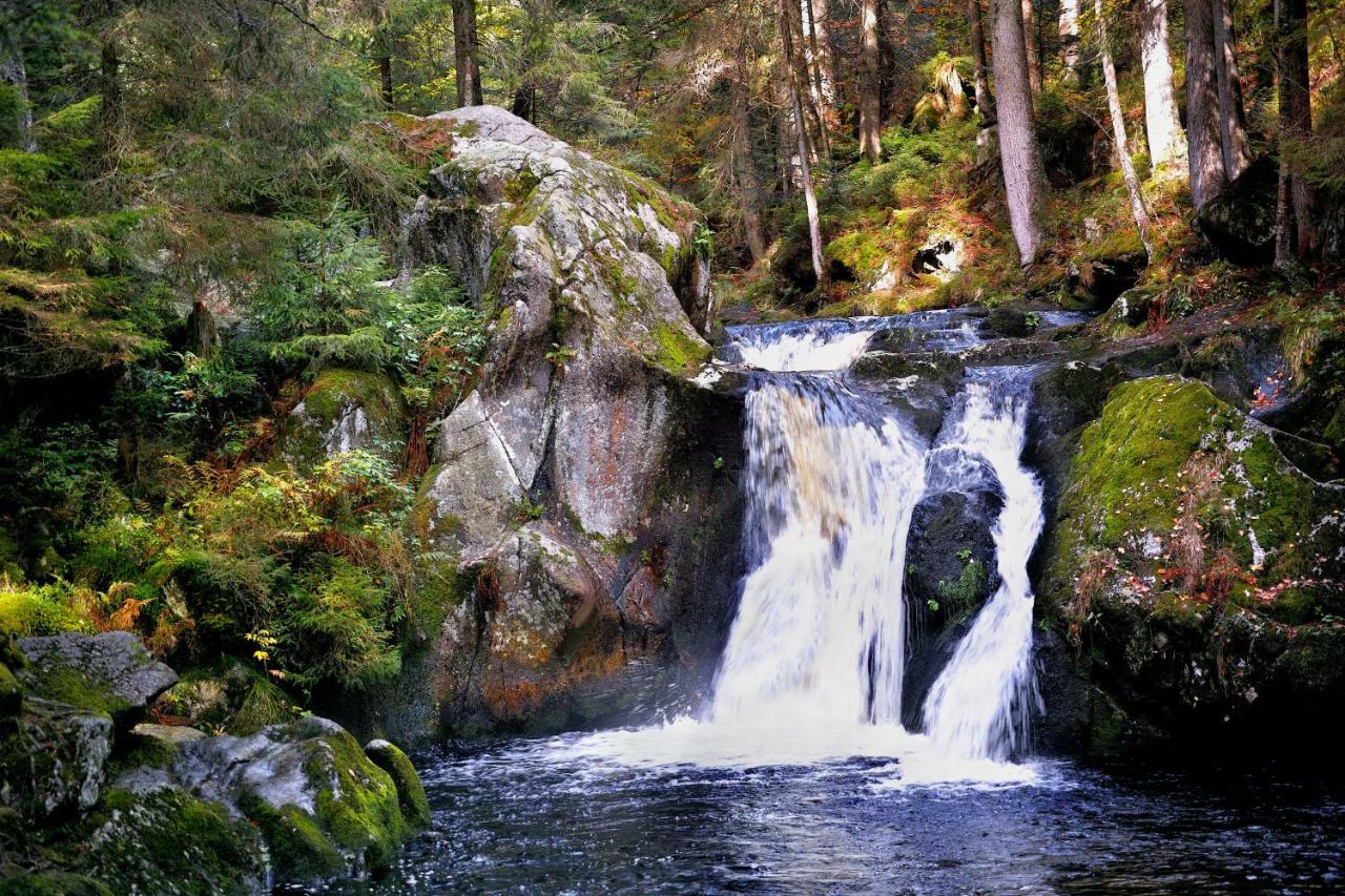 C2 Albmatte-Fewo , Hallenbad Aussenbecken Massagen Nebenan ザンクト・ブラージエン エクステリア 写真