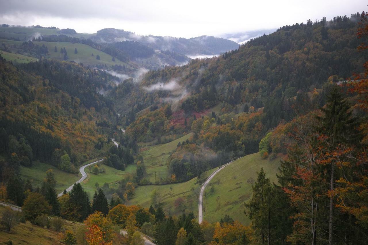 C2 Albmatte-Fewo , Hallenbad Aussenbecken Massagen Nebenan ザンクト・ブラージエン エクステリア 写真